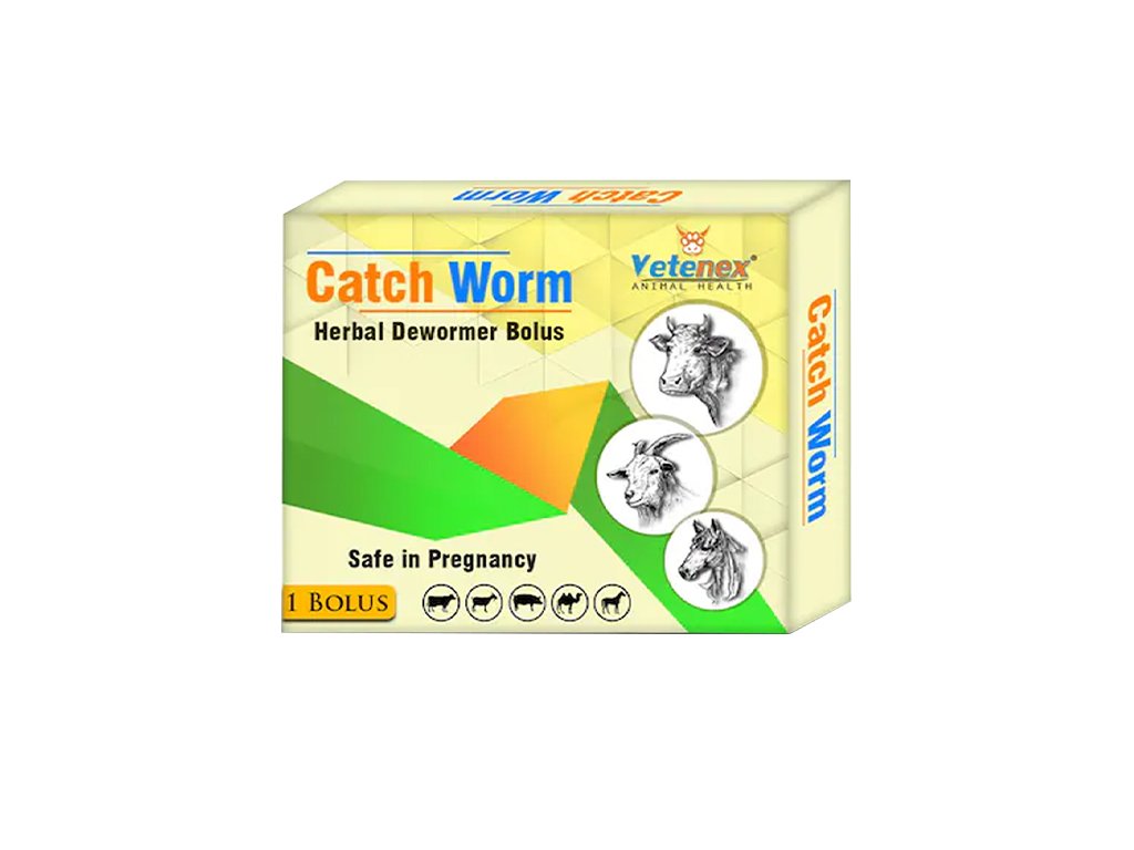 Catch worm
